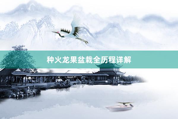 种火龙果盆栽全历程详解
