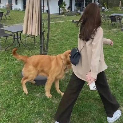 猎赝