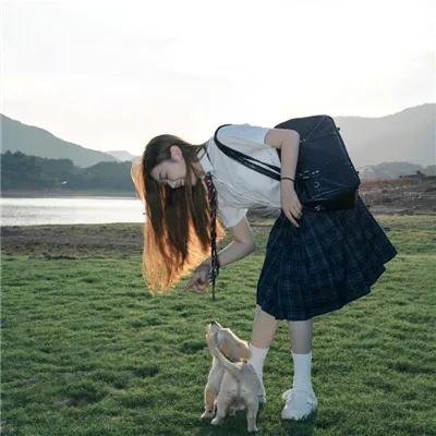 桃色响尾蛇